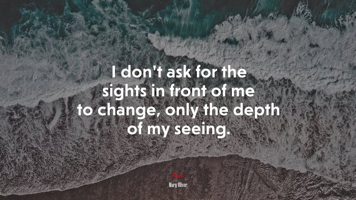 I don’t ask for the sights in front of me to change, only the depth of my seeing. | Mary Oliver quote