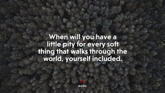 When will you have a little pity for every soft thing that walks through the world, yourself included. | Mary Oliver quote