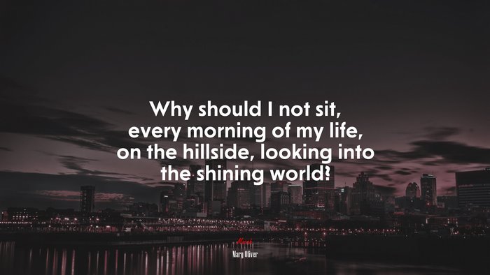 Why should I not sit, every morning of my life, on the hillside, looking into the shining world? | Mary Oliver quote