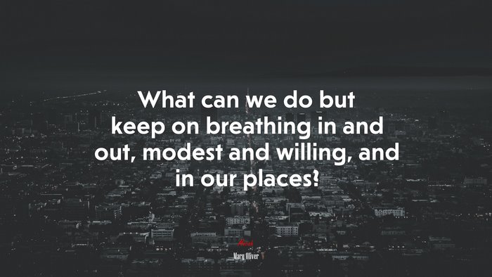 What can we do but keep on breathing in and out, modest and willing, and in our places? | Mary Oliver quote