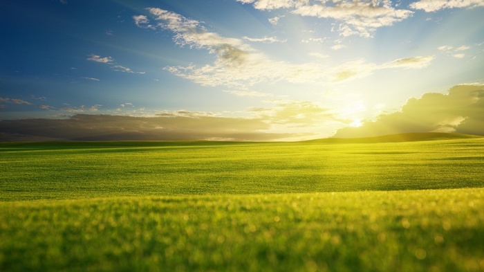 Green rolling hills under a bright sky with sun rays