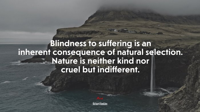 Blindness to suffering is an inherent consequence of natural selection. Nature is neither kind nor cruel but indifferent. | Richard Dawkins quote