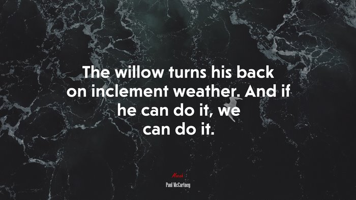 The willow turns his back on inclement weather. And if he can do it, we can do it. | Paul McCartney quote