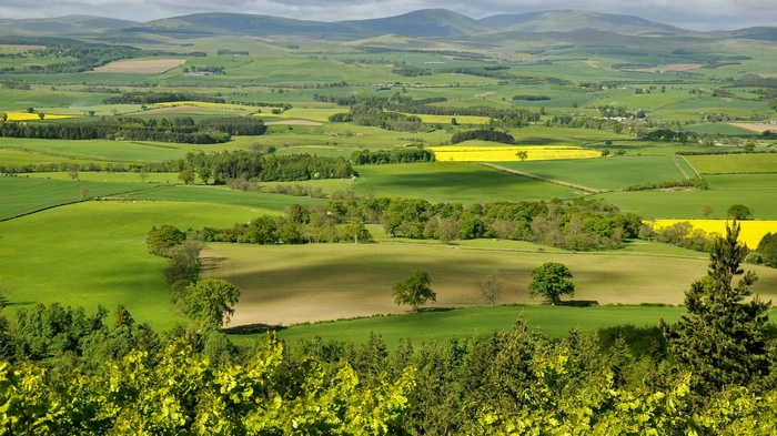 Rolling green hills and fields under a cloudy sky