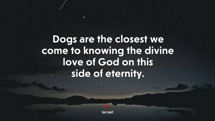 Dogs are the closest we come to knowing the divine love of God on this side of eternity. | Anne Lamott quote