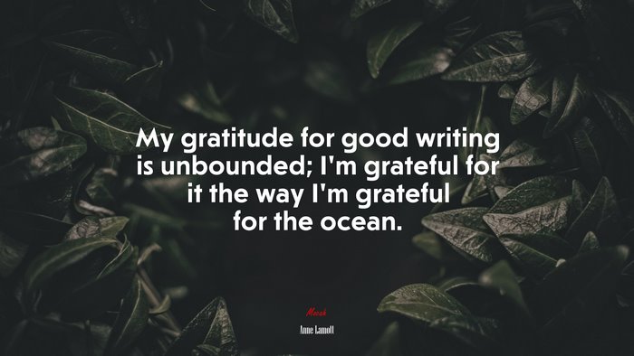 My gratitude for good writing is unbounded; I’m grateful for it the way I’m grateful for the ocean. | Anne Lamott quote