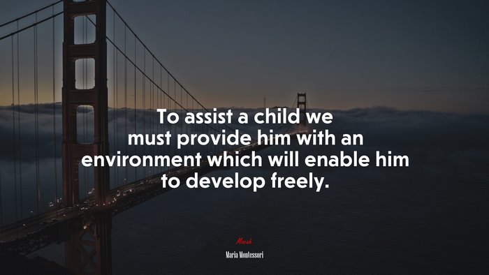 To assist a child we must provide him with an environment which will enable him to develop freely. | Maria Montessori quote