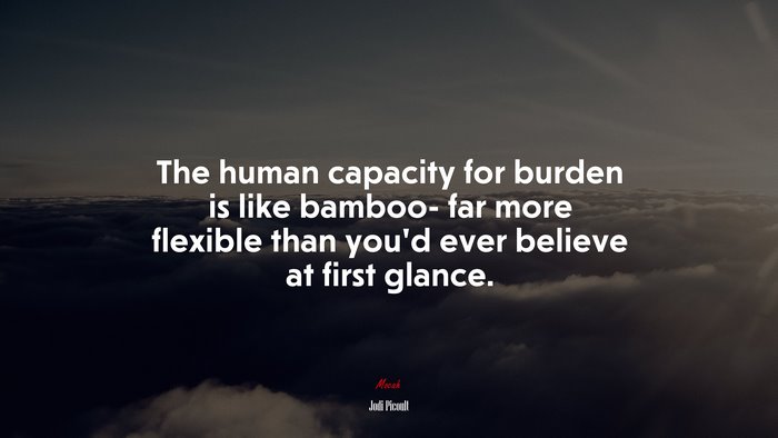 The human capacity for burden is like bamboo- far more flexible than you’d ever believe at first glance. | Jodi Picoult quote