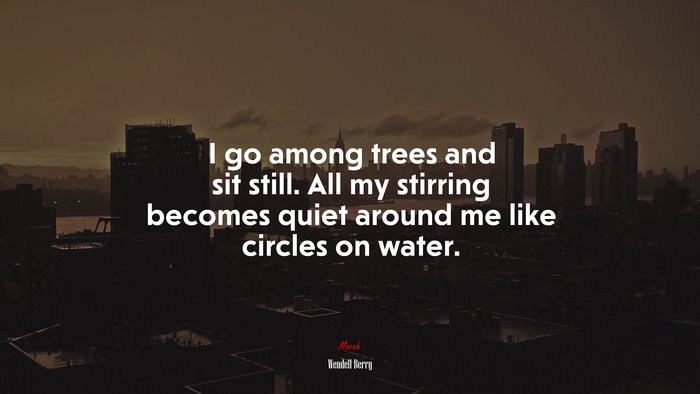 I go among trees and sit still. All my stirring becomes quiet around me like circles on water. | Wendell Berry quote