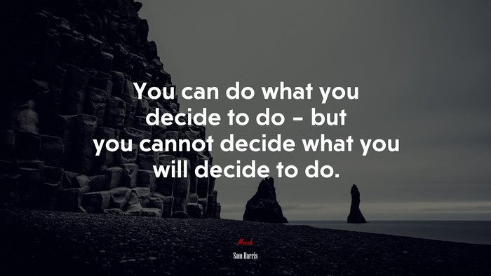 You can do what you decide to do – but you cannot decide what you will decide to do. | Sam Harris quote