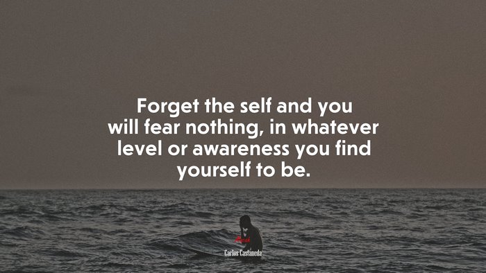 Forget the self and you will fear nothing, in whatever level or awareness you find yourself to be. | Carlos Castaneda quote