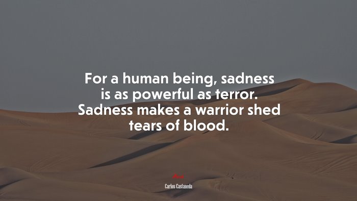For a human being, sadness is as powerful as terror. Sadness makes a warrior shed tears of blood. | Carlos Castaneda quote
