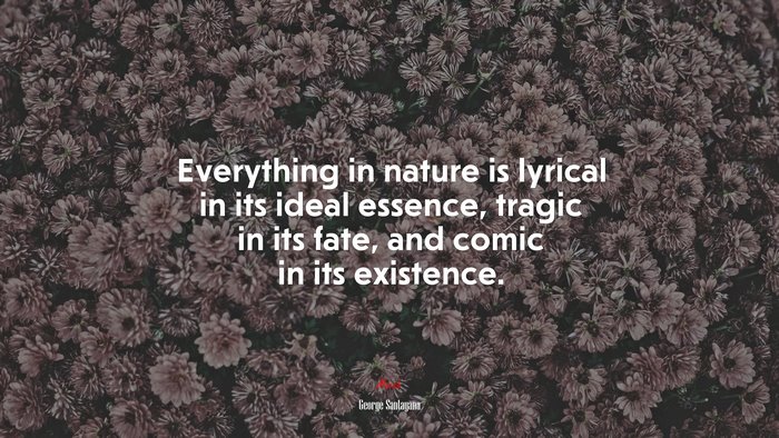 Everything in nature is lyrical in its ideal essence, tragic in its fate, and comic in its existence. | George Santayana quote