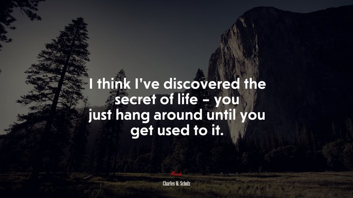 I think I’ve discovered the secret of life – you just hang around until you get used to it. | Charles M. Schulz quote