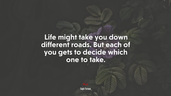 Life might take you down different roads. But each of you gets to decide which one to take. | Gayle Forman quote