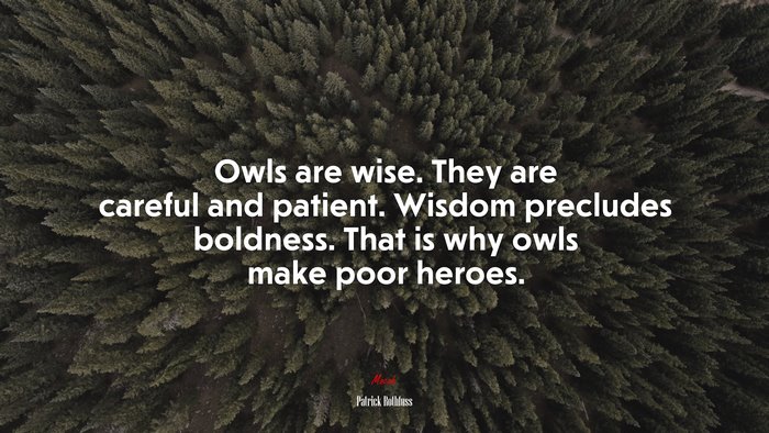 Owls are wise. They are careful and patient. Wisdom precludes boldness. That is why owls make poor heroes. | Patrick Rothfuss quote