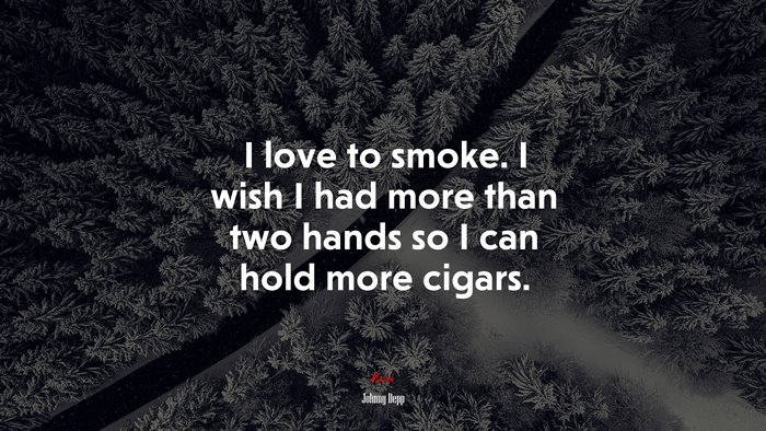 I love to smoke. I wish I had more than two hands so I can hold more cigars. | Johnny Depp quote