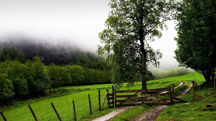Misty Mountain Landscape with Gate and Trees