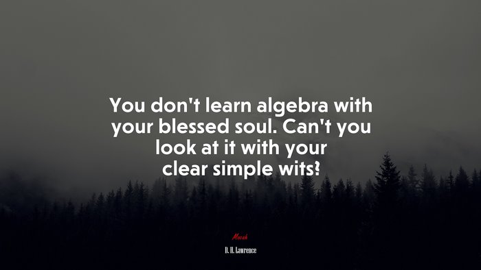 You don’t learn algebra with your blessed soul. Can’t you look at it with your clear simple wits? | D. H. Lawrence quote