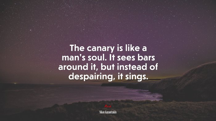 The canary is like a man’s soul. It sees bars around it, but instead of despairing, it sings. | Nikos Kazantzakis quote
