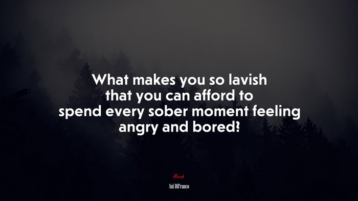 What makes you so lavish that you can afford to spend every sober moment feeling angry and bored? | Ani DiFranco quote