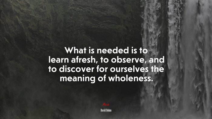 What is needed is to learn afresh, to observe, and to discover for ourselves the meaning of wholeness. | David Bohm quote