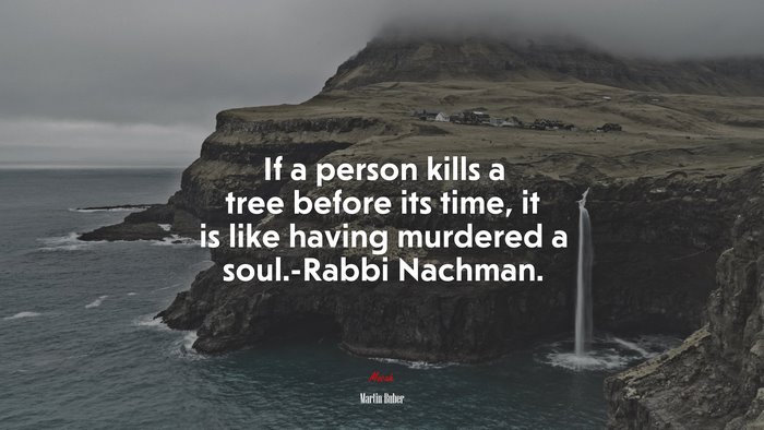 If a person kills a tree before its time, it is like having murdered a soul.-Rabbi Nachman. | Martin Buber quote