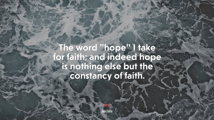 The word “hope” I take for faith; and indeed hope is nothing else but the constancy of faith. | John Calvin quote