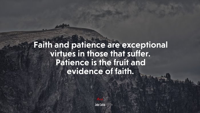 Faith and patience are exceptional virtues in those that suffer. Patience is the fruit and evidence of faith. | John Calvin quote
