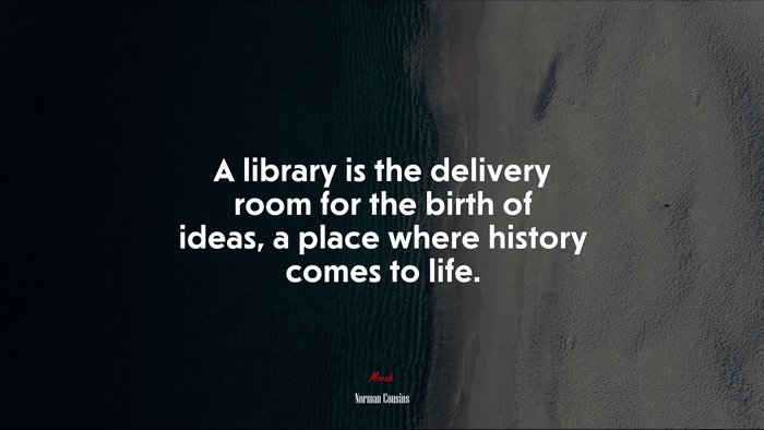 A library is the delivery room for the birth of ideas, a place where history comes to life. | Norman Cousins quote