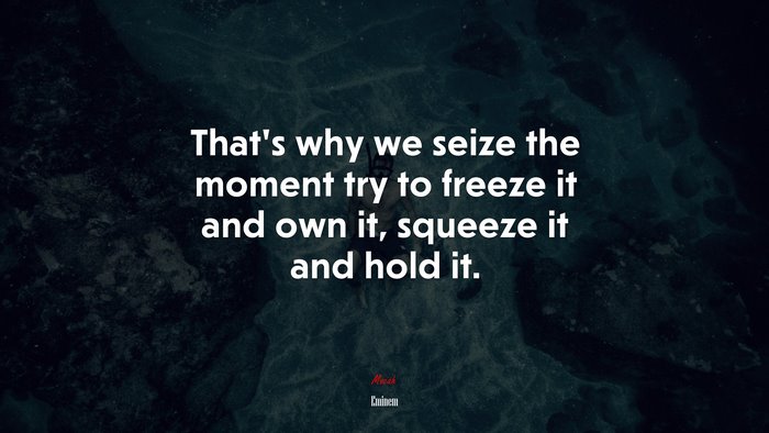 That’s why we seize the moment try to freeze it and own it, squeeze it and hold it. | Eminem quote