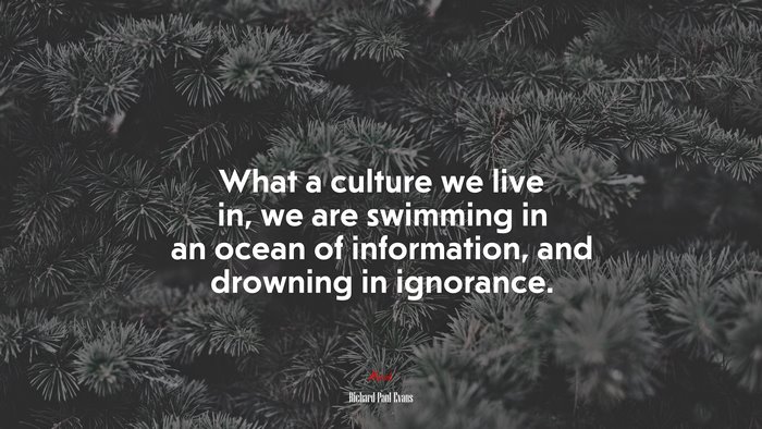 What a culture we live in, we are swimming in an ocean of information, and drowning in ignorance. | Richard Paul Evans quote