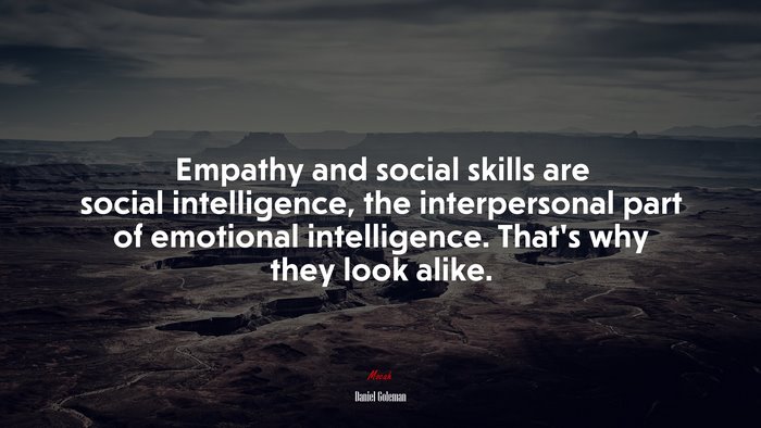 Empathy and social skills are social intelligence, the interpersonal part of emotional intelligence. That’s why they look alike. | Daniel Goleman quote