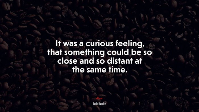 It was a curious feeling, that something could be so close and so distant at the same time. | Daniel Handler quote