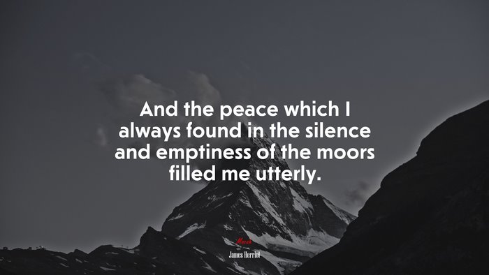 And the peace which I always found in the silence and emptiness of the moors filled me utterly. | James Herriot quote