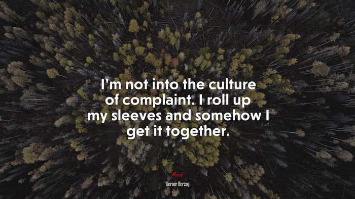 I’m not into the culture of complaint. I roll up my sleeves and somehow I get it together. | Werner Herzog quote