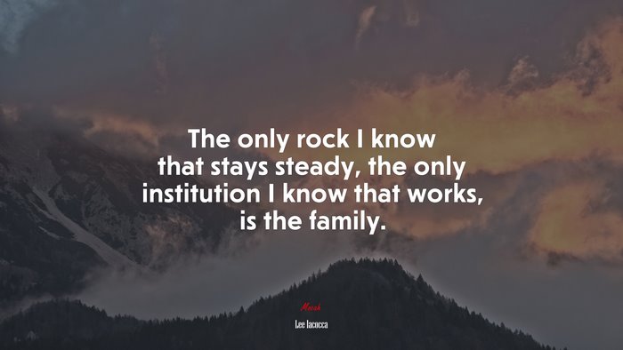 The only rock I know that stays steady, the only institution I know that works, is the family. | Lee Iacocca quote