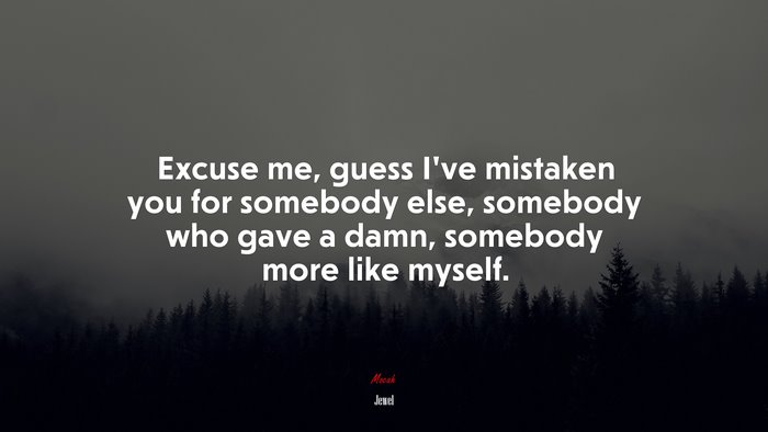 Excuse me, guess I’ve mistaken you for somebody else, somebody who gave a damn, somebody more like myself. | Jewel quote