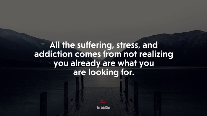All the suffering, stress, and addiction comes from not realizing you already are what you are looking for. | Jon Kabat-Zinn quote