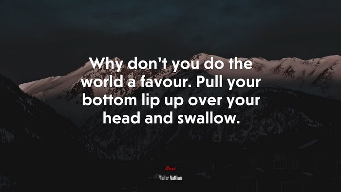 Why don’t you do the world a favour. Pull your bottom lip up over your head and swallow. | Walter Matthau quote