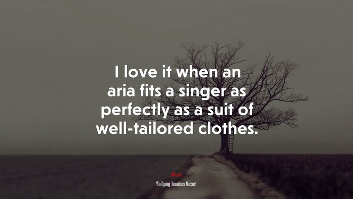 I love it when an aria fits a singer as perfectly as a suit of well-tailored clothes. | Wolfgang Amadeus Mozart quote