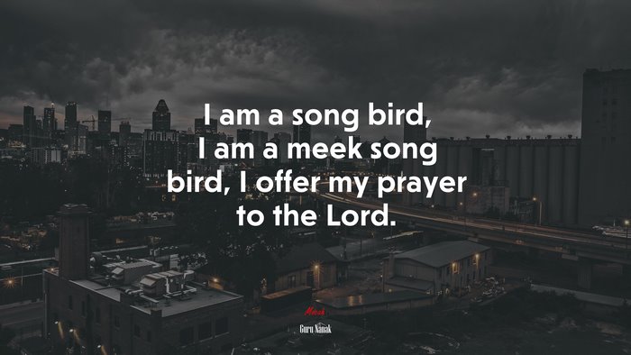 I am a song bird, I am a meek song bird, I offer my prayer to the Lord. | Guru Nanak quote