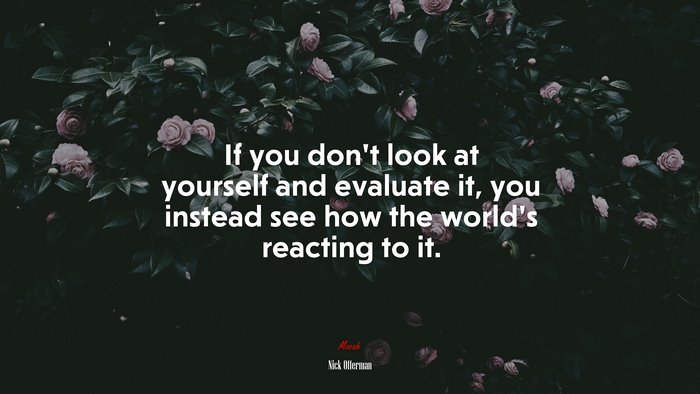 If you don’t look at yourself and evaluate it, you instead see how the world’s reacting to it. | Nick Offerman quote
