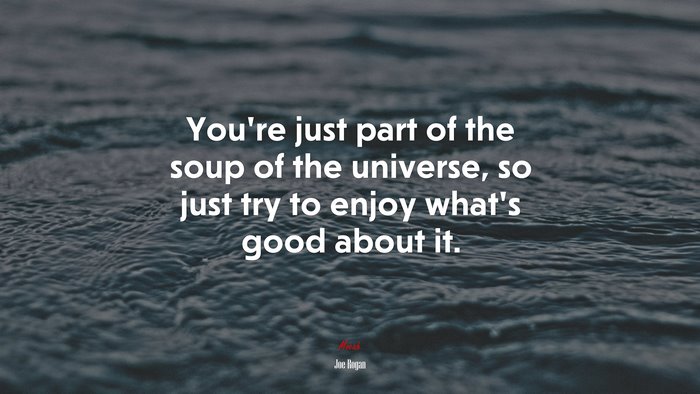 You’re just part of the soup of the universe, so just try to enjoy what’s good about it. | Joe Rogan quote