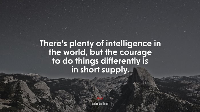 There’s plenty of intelligence in the world, but the courage to do things differently is in short supply. | Marilyn Vos Savant quote