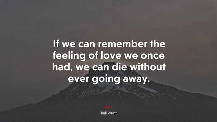 If we can remember the feeling of love we once had, we can die without ever going away. | Morrie Schwartz quote