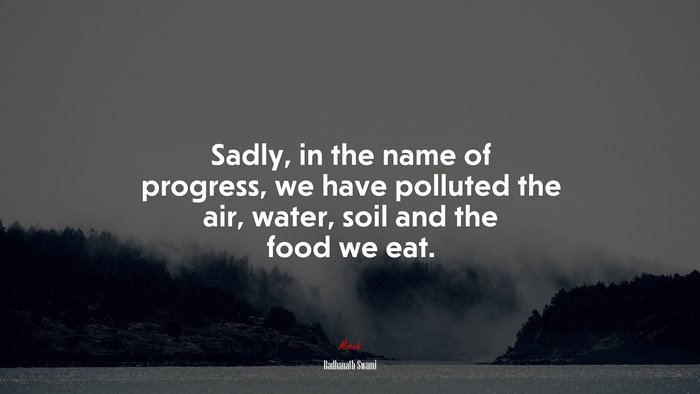 Sadly, in the name of progress, we have polluted the air, water, soil and the food we eat. | Radhanath Swami quote
