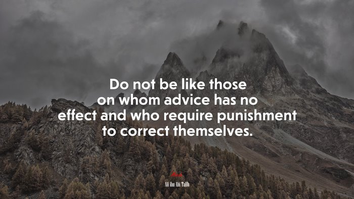 Do not be like those on whom advice has no effect and who require punishment to correct themselves. | Ali ibn Abi Talib quote