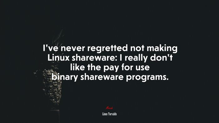 I’ve never regretted not making Linux shareware: I really don’t like the pay for use binary shareware programs. | Linus Torvalds quote