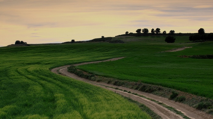 Dirt road through green fields at sunset